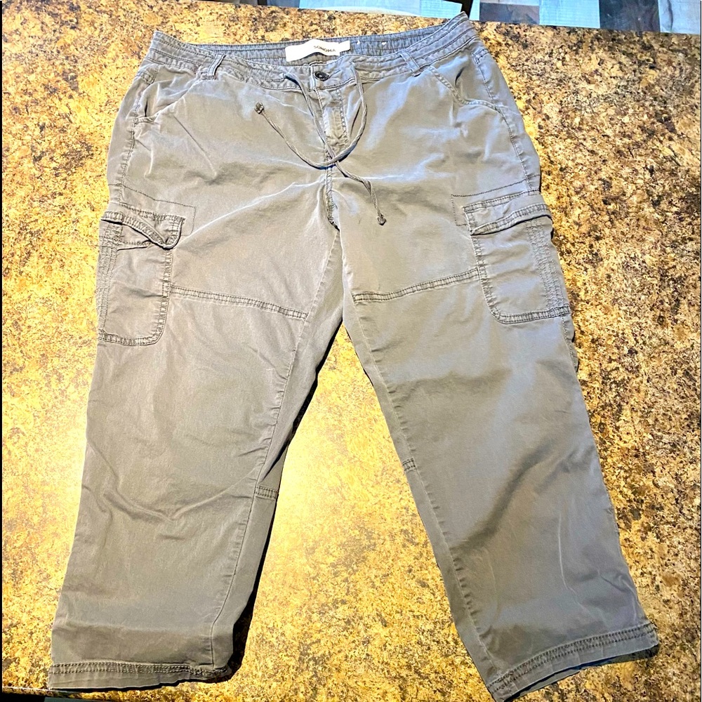 Womens size 14 Capris
